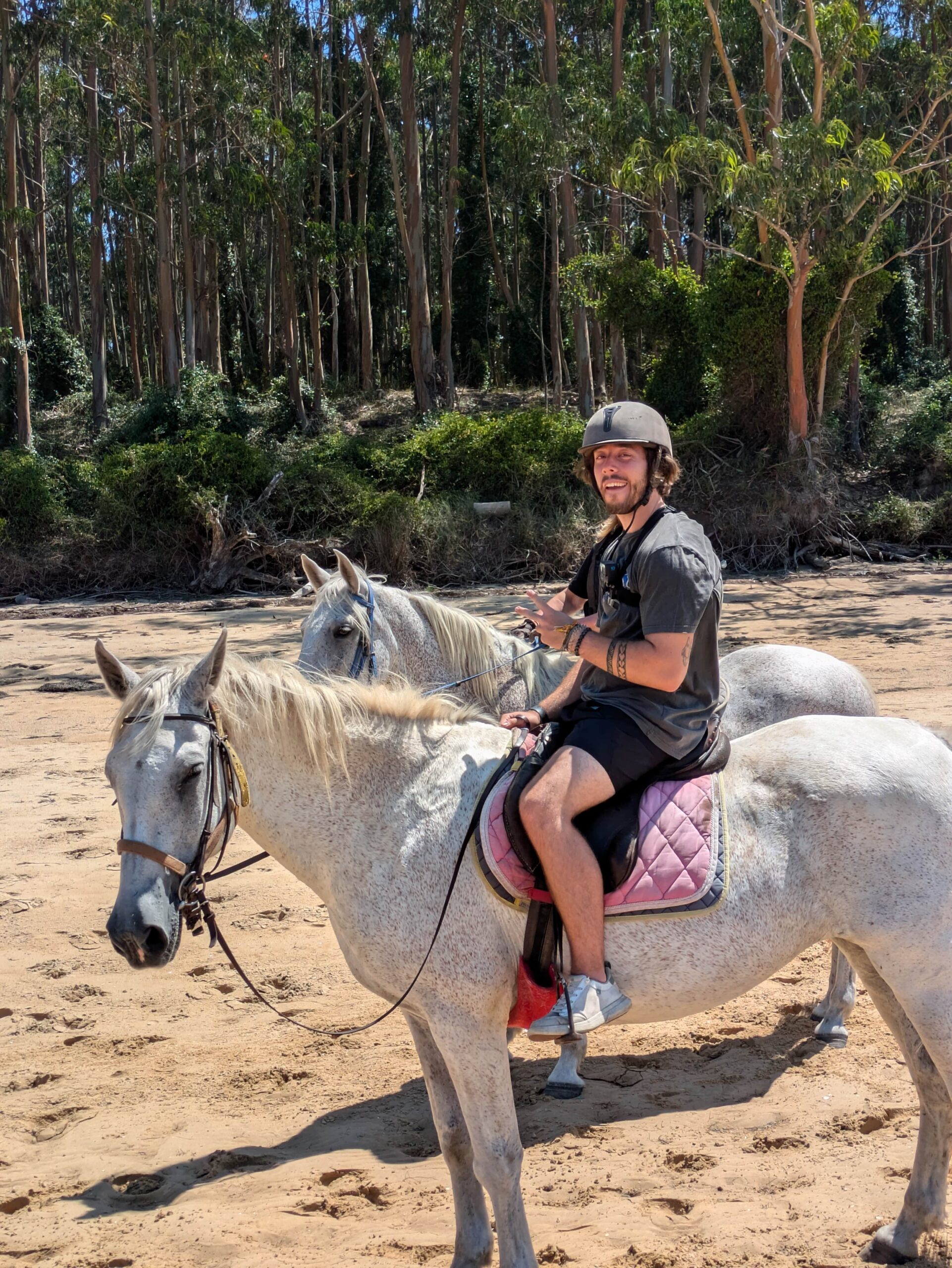 Riding Horse on Beach