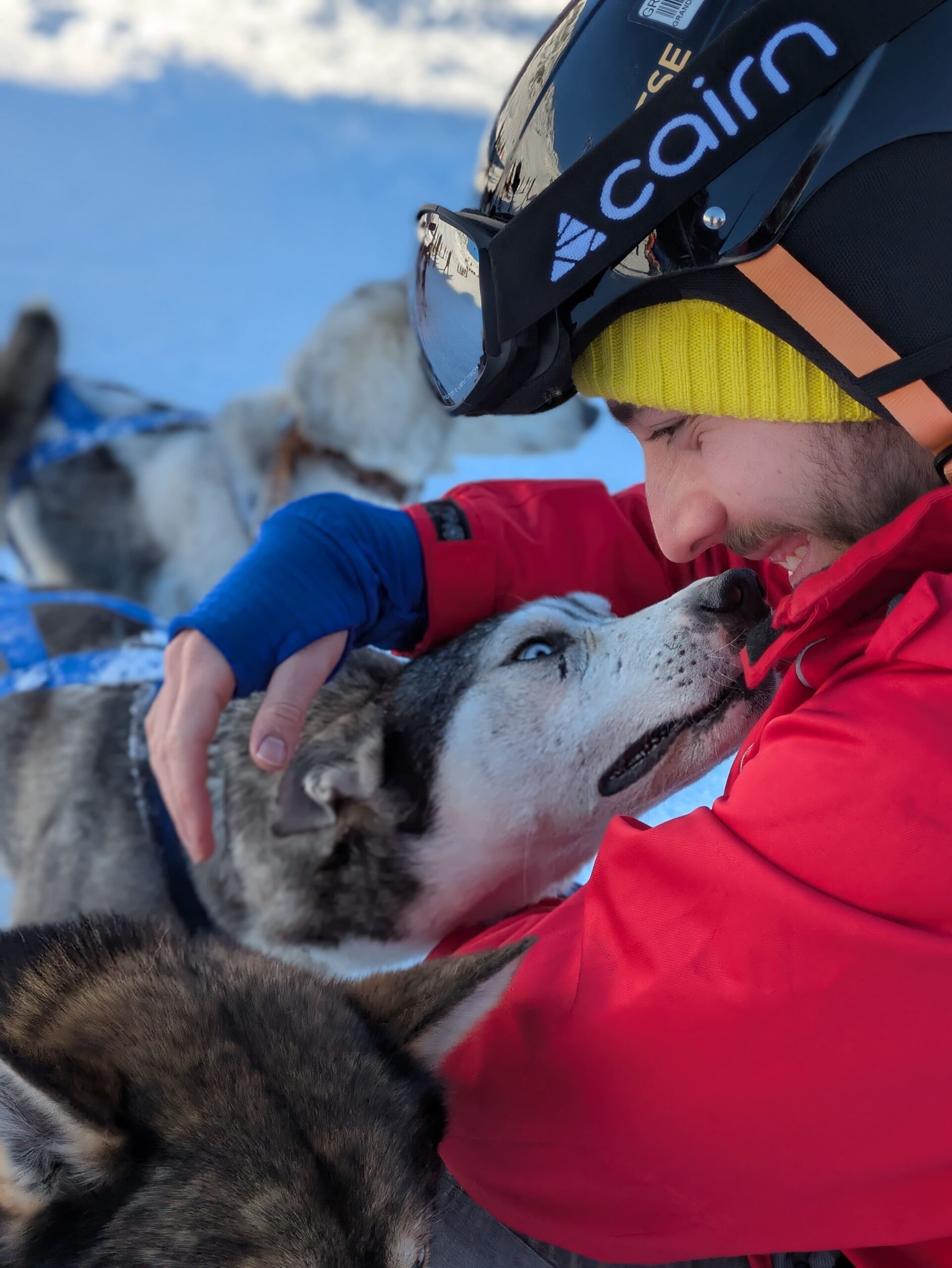 Husky on Ski Vacations